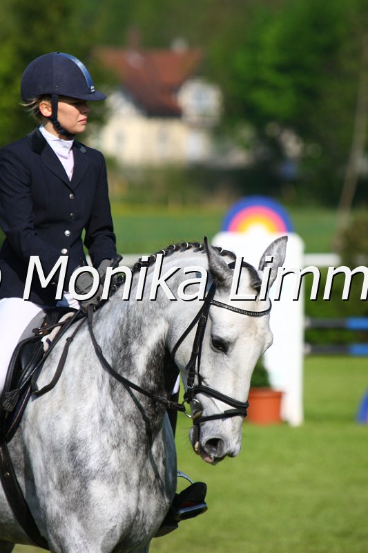 005M3958_Diamond Dancer_Springpferde A.JPG